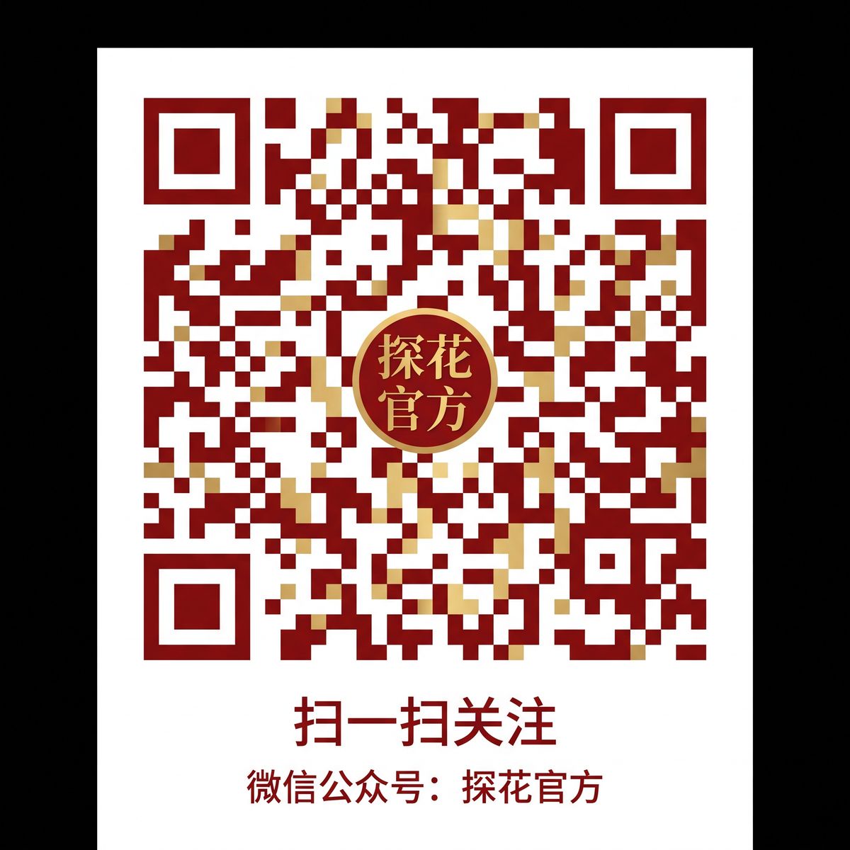 芒果视频公众号